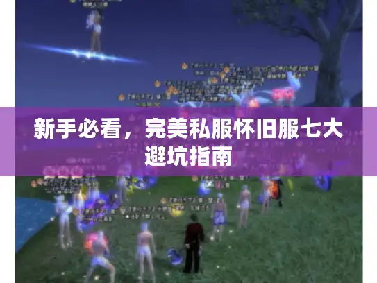 新手必看，完美私服怀旧服七大避坑指南
