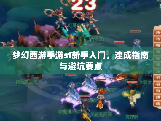 梦幻西游手游sf新手入门，速成指南与避坑要点