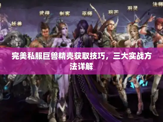 完美私服巨兽精壳获取技巧,三大实战方法详解 完美私服巨兽精壳获取技巧,三大实战方法详解