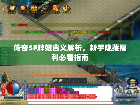 传奇SF胖妞含义解析，新手隐藏福利必看指南