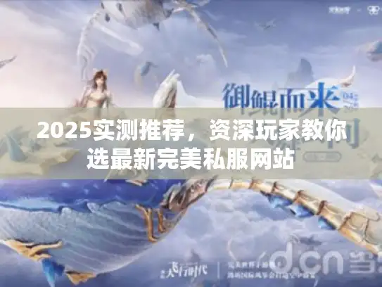 2025实测推荐，资深玩家教你选最新完美私服网站
