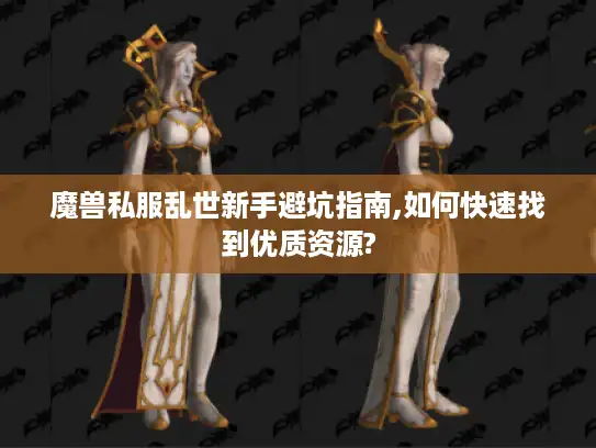 魔兽私服乱世新手避坑指南,如何快速找到优质资源?