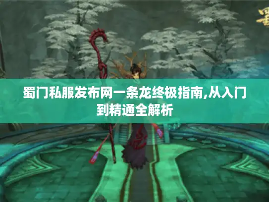 蜀门私服发布网一条龙终极指南,从入门到精通全解析