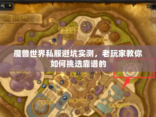 魔兽世界私服避坑实测，老玩家教你如何挑选靠谱的