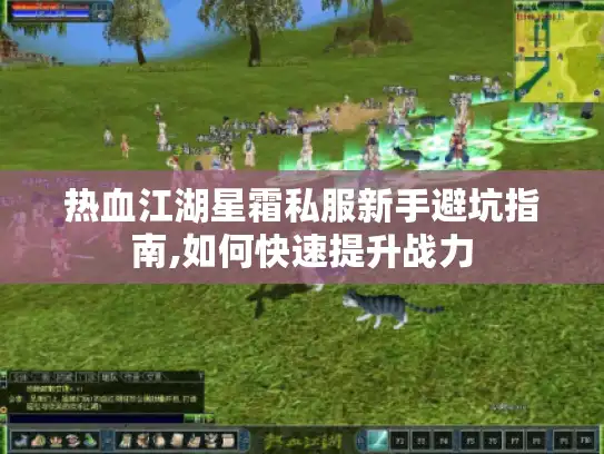 热血江湖星霜私服新手避坑指南,如何快速提升战力