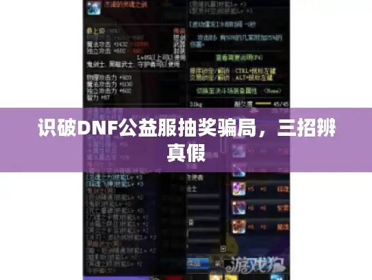 识破DNF公益服抽奖骗局，三招辨真假