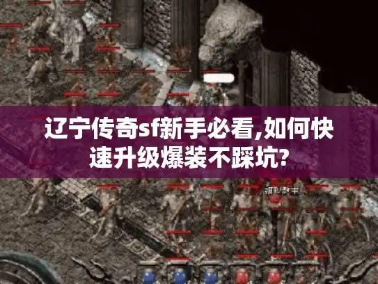 辽宁传奇sf新手必看,如何快速升级爆装不踩坑?