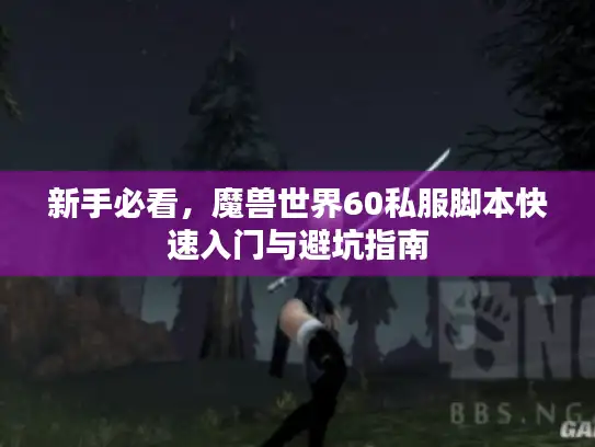 新手必看，魔兽世界60私服脚本快速入门与避坑指南