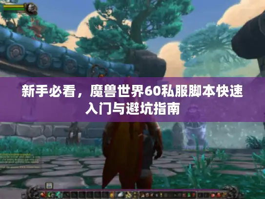 新手必看，魔兽世界60私服脚本快速入门与避坑指南
