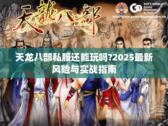 天龙八部私服还能玩吗?2025最新风险与实战指南