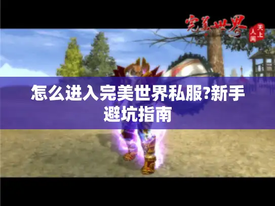 怎么进入完美世界私服?新手避坑指南