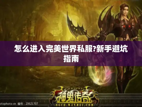 怎么进入完美世界私服?新手避坑指南