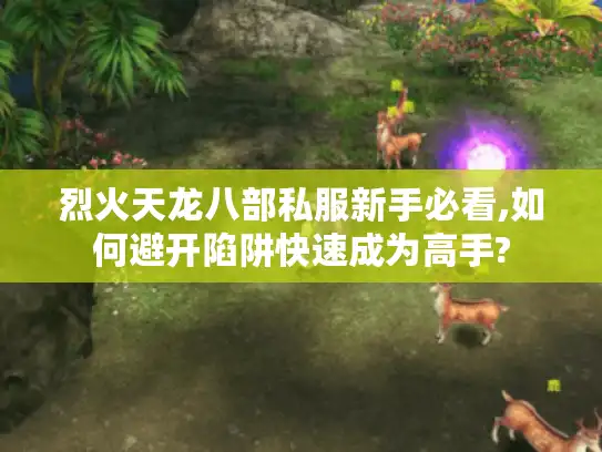 烈火天龙八部私服新手必看,如何避开陷阱快速成为高手?