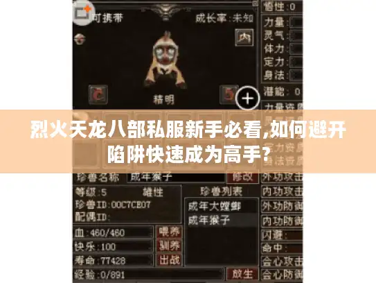烈火天龙八部私服新手必看,如何避开陷阱快速成为高手?