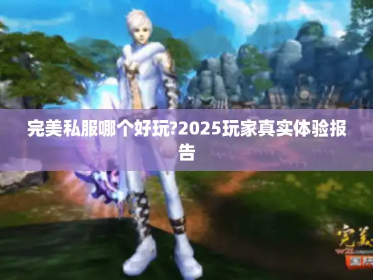完美私服哪个好玩?2025玩家真实体验报告