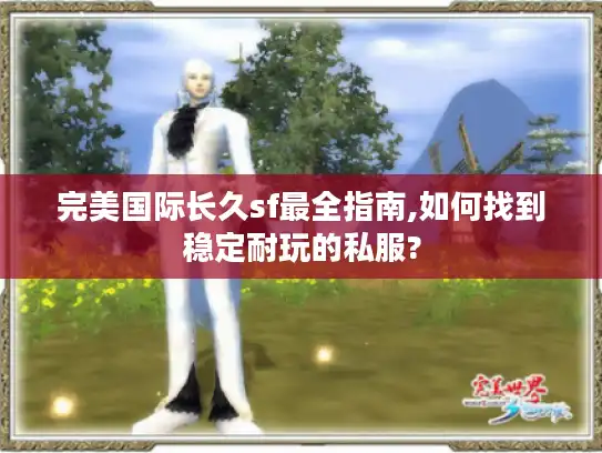完美国际长久sf最全指南,如何找到稳定耐玩的私服?