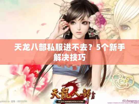 天龙八部私服进不去？5个新手解决技巧