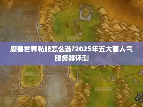 魔兽世界私服怎么选?2025年五大高人气服务器评测
