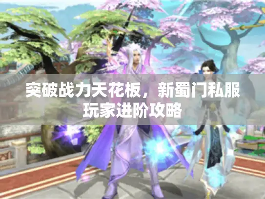 突破战力天花板,新蜀门私服玩家进阶攻略 突破战力天花板,新蜀门私服玩家进阶攻略