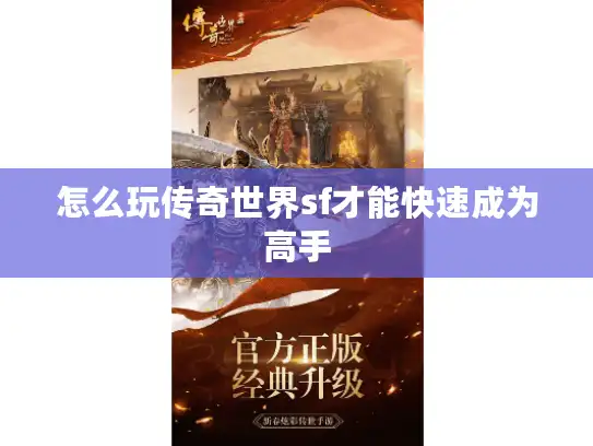 怎么玩传奇世界sf才能快速成为高手