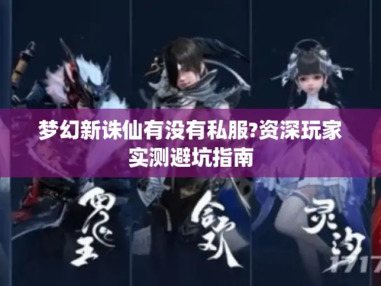 梦幻新诛仙有没有私服?资深玩家实测避坑指南 梦幻新诛仙有没有私服?资深玩家实测避坑指南