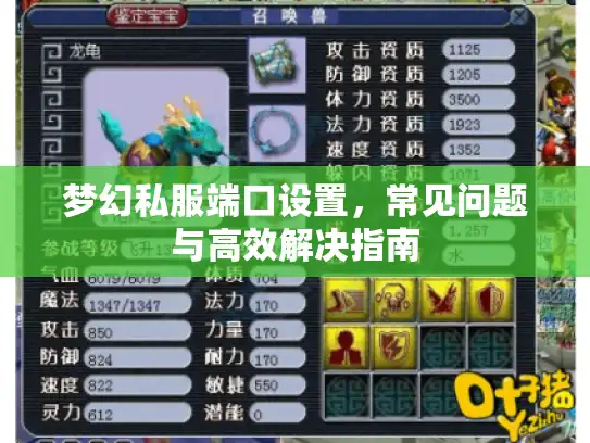 梦幻私服端口设置，常见问题与高效解决指南