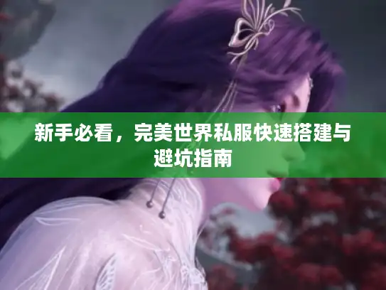 新手必看，完美世界私服快速搭建与避坑指南