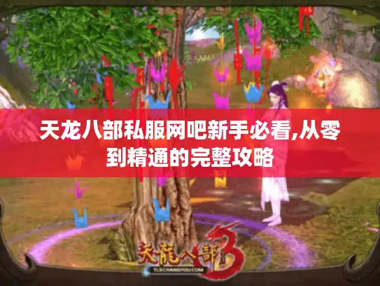 天龙八部私服网吧新手必看,从零到精通的完整攻略