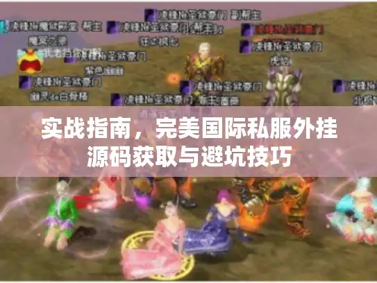 实战指南，完美国际私服外挂源码获取与避坑技巧