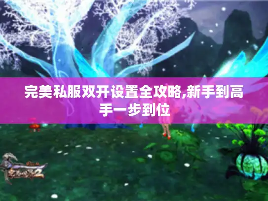 完美私服双开设置全攻略,新手到高手一步到位