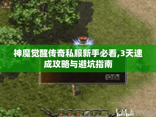 神魔觉醒传奇私服新手必看,3天速成攻略与避坑指南