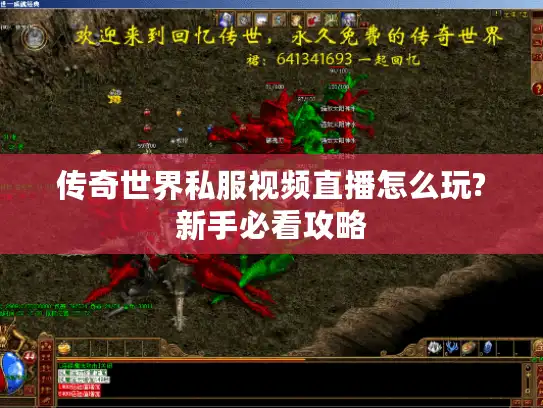 传奇世界私服视频直播怎么玩?新手必看攻略