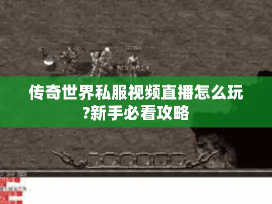 传奇世界私服视频直播怎么玩?新手必看攻略