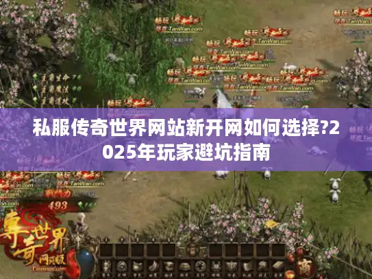 私服传奇世界网站新开网如何选择?2025年玩家避坑指南