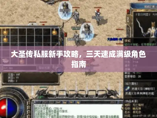 大圣传私服新手攻略，三天速成满级角色指南