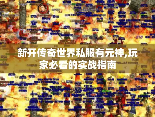 新开传奇世界私服有元神,玩家必看的实战指南