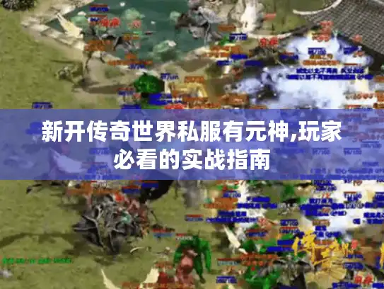 新开传奇世界私服有元神,玩家必看的实战指南