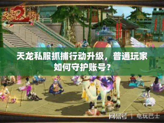 天龙私服抓捕行动升级，普通玩家如何守护账号？