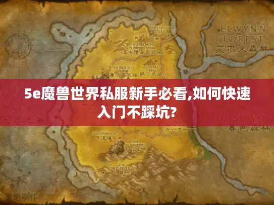 5e魔兽世界私服新手必看,如何快速入门不踩坑?