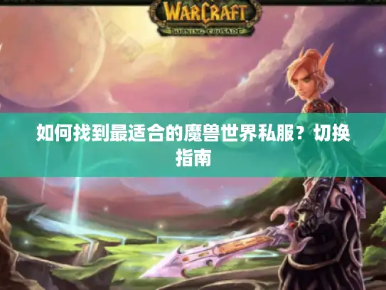 如何找到最适合的魔兽世界私服？切换指南