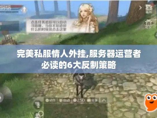 完美私服情人外挂,服务器运营者必读的6大反制策略
