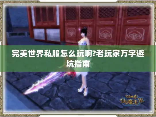 完美世界私服怎么玩啊?老玩家万字避坑指南