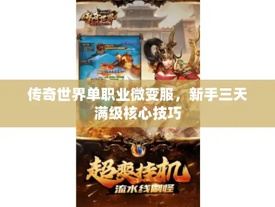 传奇世界单职业微变服,新手三天满级核心技巧 传奇世界单职业微变服,新手三天满级核心技巧