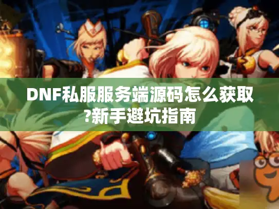 DNF私服服务端源码怎么获取?新手避坑指南