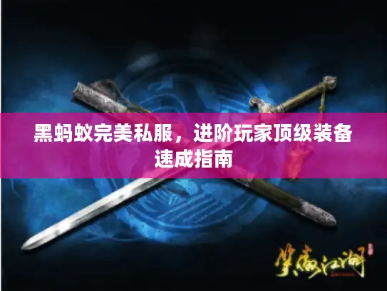 黑蚂蚁完美私服，进阶玩家顶级装备速成指南