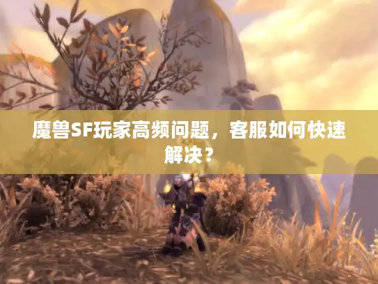 魔兽SF玩家高频问题，客服如何快速解决？