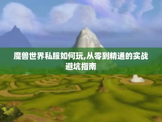 魔兽世界私服如何玩,从零到精通的实战避坑指南