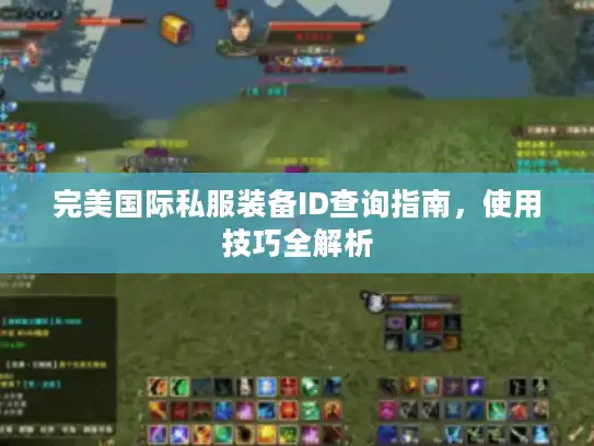 完美国际私服装备ID查询指南，使用技巧全解析