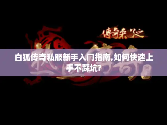 白狐传奇私服新手入门指南,如何快速上手不踩坑?