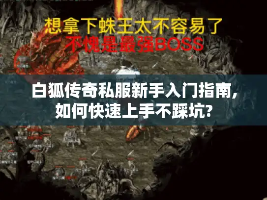 白狐传奇私服新手入门指南,如何快速上手不踩坑?